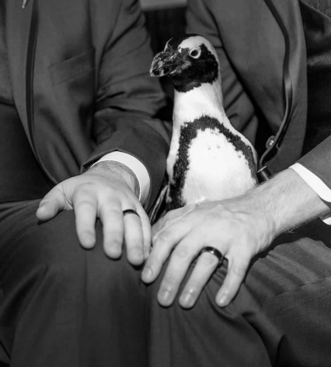Maryalnd Zoo wedding