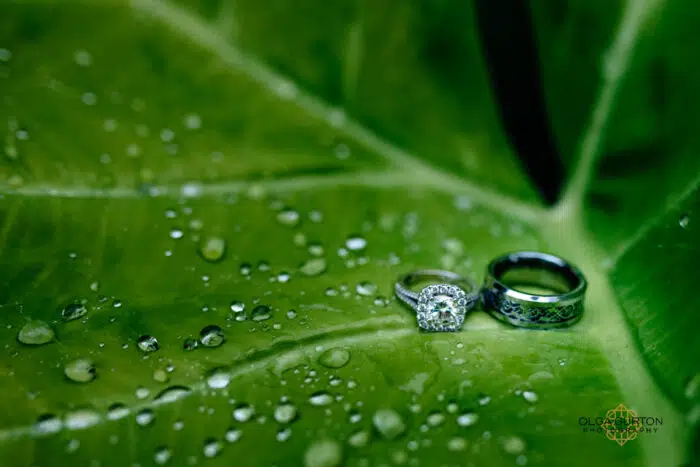 engagement ring macro detail shot during the engagement session