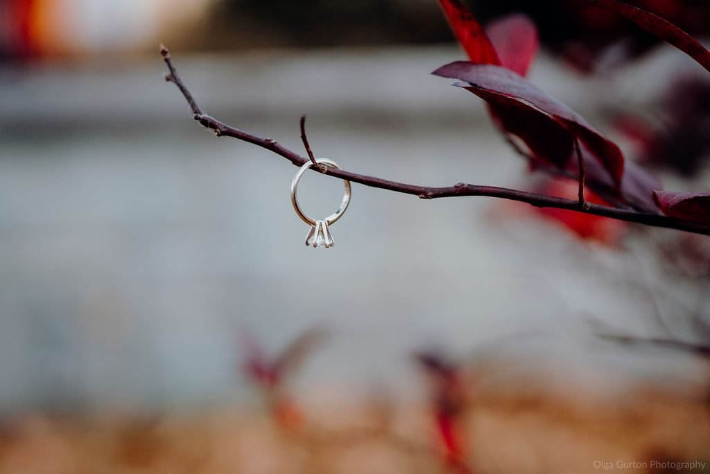 Washington DC Engagement Photographer | Amanda & Sean’s Theodore Roosevelt Island Session