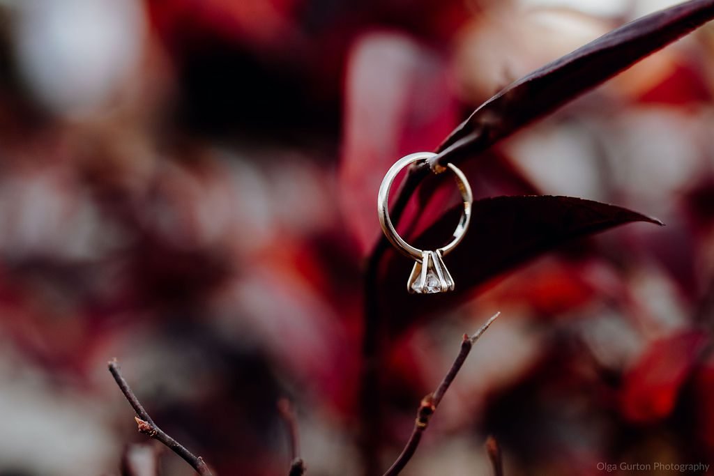 Washington DC Engagement Photographer | Amanda & Sean’s Theodore Roosevelt Island Session