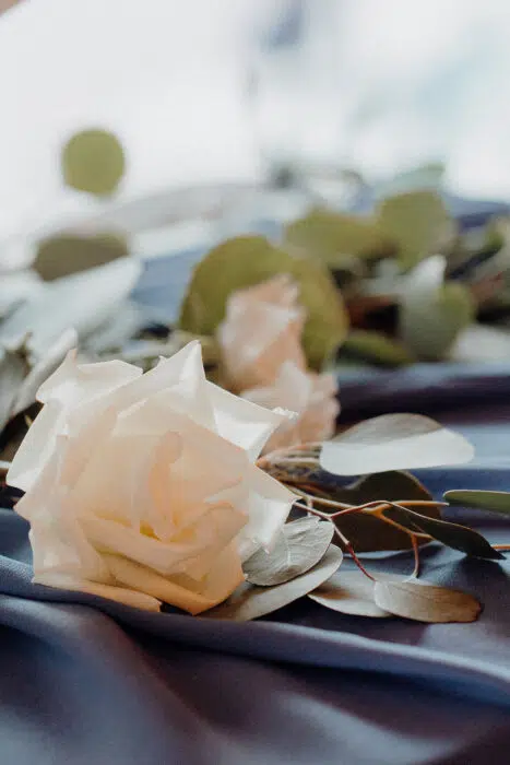 Carlyle House wedding