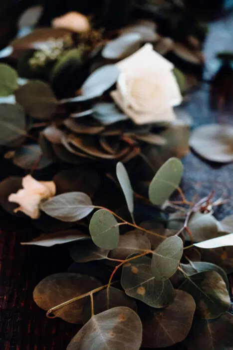 Carlyle House wedding
